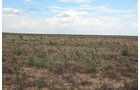 Property photo 73 - LAND AUCTION, 3255+/- Acres offered in 13 Tracts